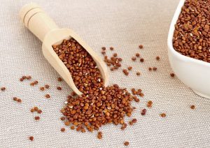 Quinoa- Top Five Gluten-Free Grains